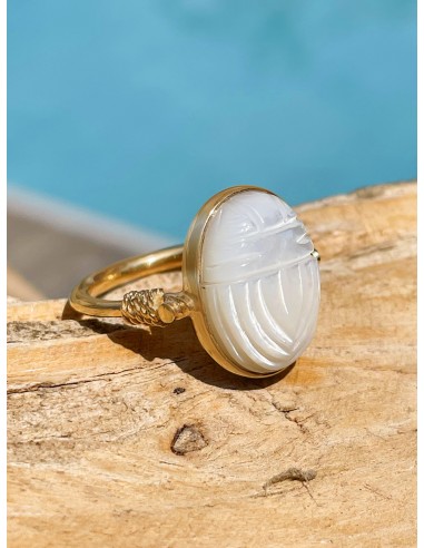 Bague NEO des créatures d'habitude